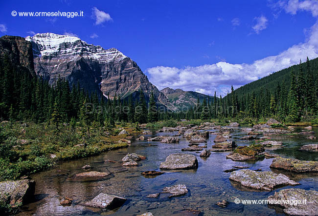 Presso i Consolation Lakes 28-28-05